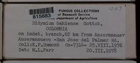 Image Associated With the Occurence